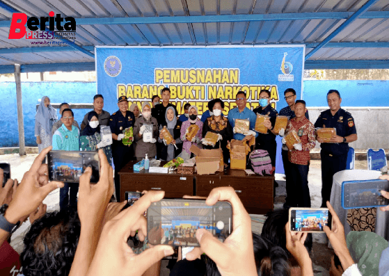 BNNP Sumsel Musnahkan Puluhan Kilogram Ganja Siap Edar