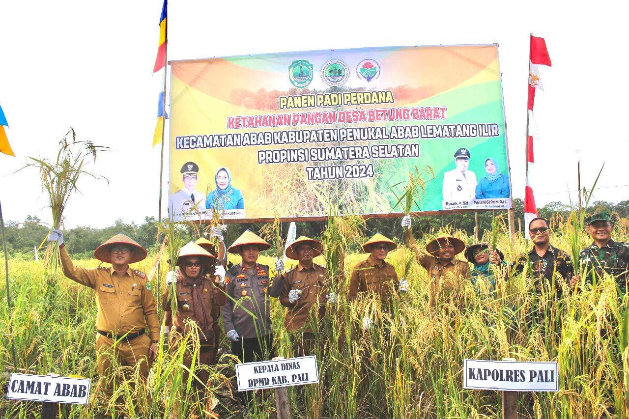 Bupati PALI Panen Perdana Ketahanan Pangan di Desa Betung Barat