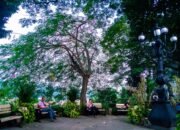 Bermanja di Taman Peranginan Bogor dengan View Perumahan dan Sungai Ciliwung