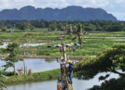 Menyala 24 Jam, 33 Dusun Terpencil Sulawesi Selatan Dilistriki PLN