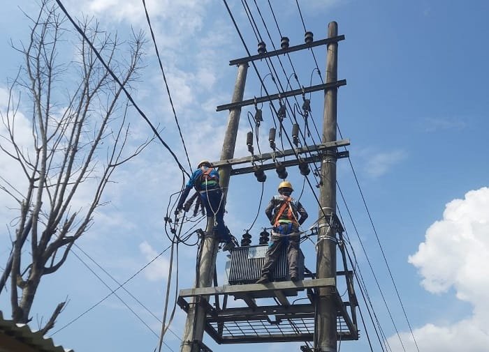 Jelang Idul Adha, PLN Kota Baru Lakukan Pembersihan dan Pemeliharaan Konstruksi Jaringan Distribusi