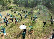 Green Mining, PTBA Tanam Pohon Bersama di Lahan Bekas Tambang