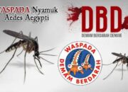 Takeda Dukung Peringatan Hari Dengue ASEAN 2024 Sebagai Jalan Mencapai Indonesia Bebas Kematian Akibat Dengue di Tahun 2030