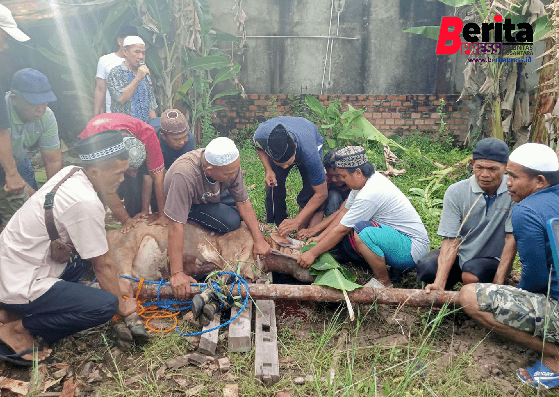 Hari Idul Qurban Momentum Yang Tepat Untuk Mengasah Keikhlasan dan Peduli Terhadap Sesama
