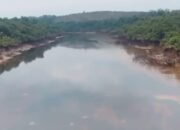 Sungai Parung di Sungai Lilin Tercemar Minyak Sumur Bor