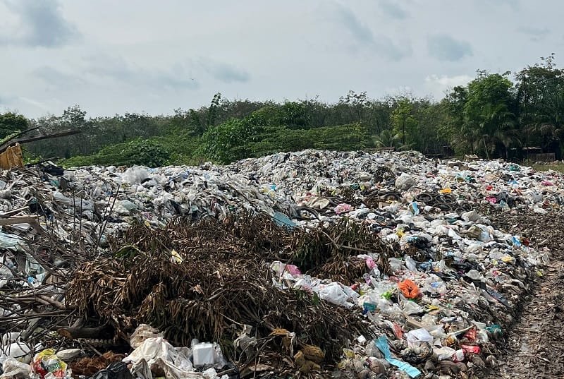 Aroma Tak Sedap dari Tumpukan Sampah di Taman Toga Mangunjaya Resahkan Warga