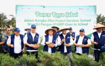 Pj Gubernur Elen Setiadi Bersama Kepala Perwakilan BI Sumsel Panen Raya Cabai di Lahan Pilot Project SMKN 1 Gelumbang 