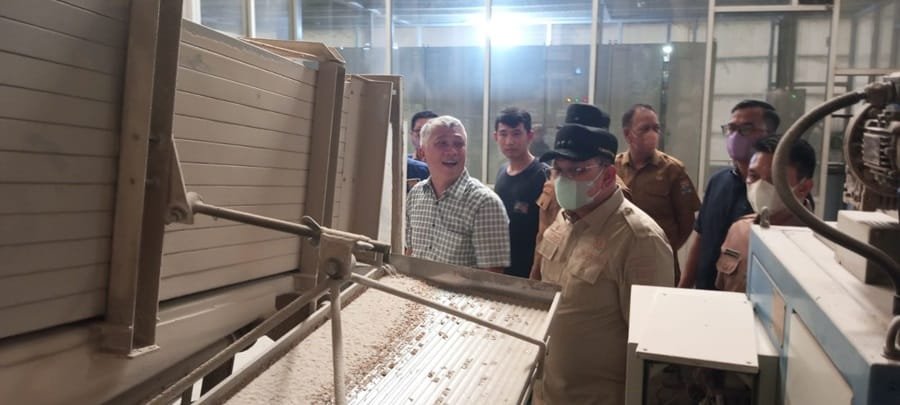 A Damenta Pastikan Stok Beras Aman