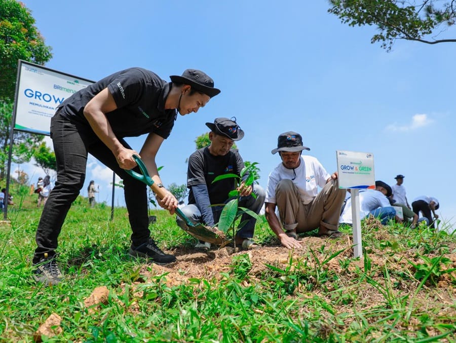 Kolaborasi KTH Pabangbon dan BRI Peduli: Menyelamatkan Hutan, Membangun Masa Depan