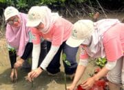 PLN Gandeng WWF Indonesia, Cetak Sejarah sebagai Perusahaan Pertama di Indonesia Adopsi Kerangka TNFD