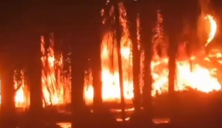 Sumur Minyak Diduga Ilegal di Kecamatan Keluang Terbakar