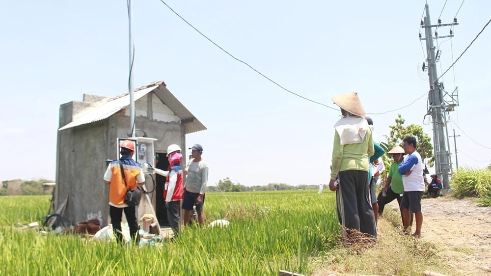 Mendorong Transformasi Pertanian Modern, Electrifying Agriculture PLN Berdayakan Petani di Era Baru