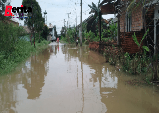 Pemerintah Kabupaten Banyuasin Harus Turun Tangan Mengatasi Masalah Banjir