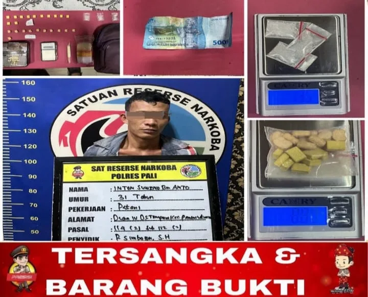 Satresnarkoba Polres PALI Tangkap Pengedar Sabu dan Ekstasi di Tempirai