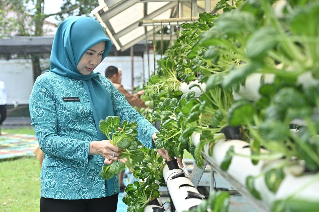Adhitya Trinia Aprliani: Budidaya Hidroponik Bisa Jadi Solusi Pangan dan Sumber Penghasilan
