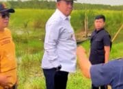 Pemkab PALI Genjot Sektor Pertanian, Targetkan Swasembada Pangan Lewat Optimalisasi 1.686 Hektare Sawah