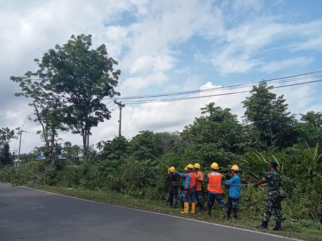 PLN: Jangan Bakar Sampah Dekat Kabel Listrik, Satu Kesalahan Bisa Jadi Malapetaka