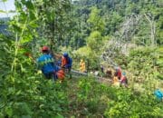 Terjang Medan Terjal, PLN Dirikan Tower Darurat Demi Selamatkan Listrik Sungai Penuh