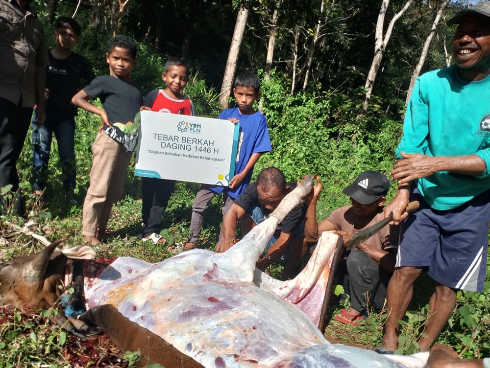 Tangis Bahagia Warga Pelosok Saat PLN Antar Kurban hingga ke Ambon dan Wajo