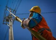Rekor Kuat PLN 2024, DER 38%, CICR 3,71x, Laba Meroket!