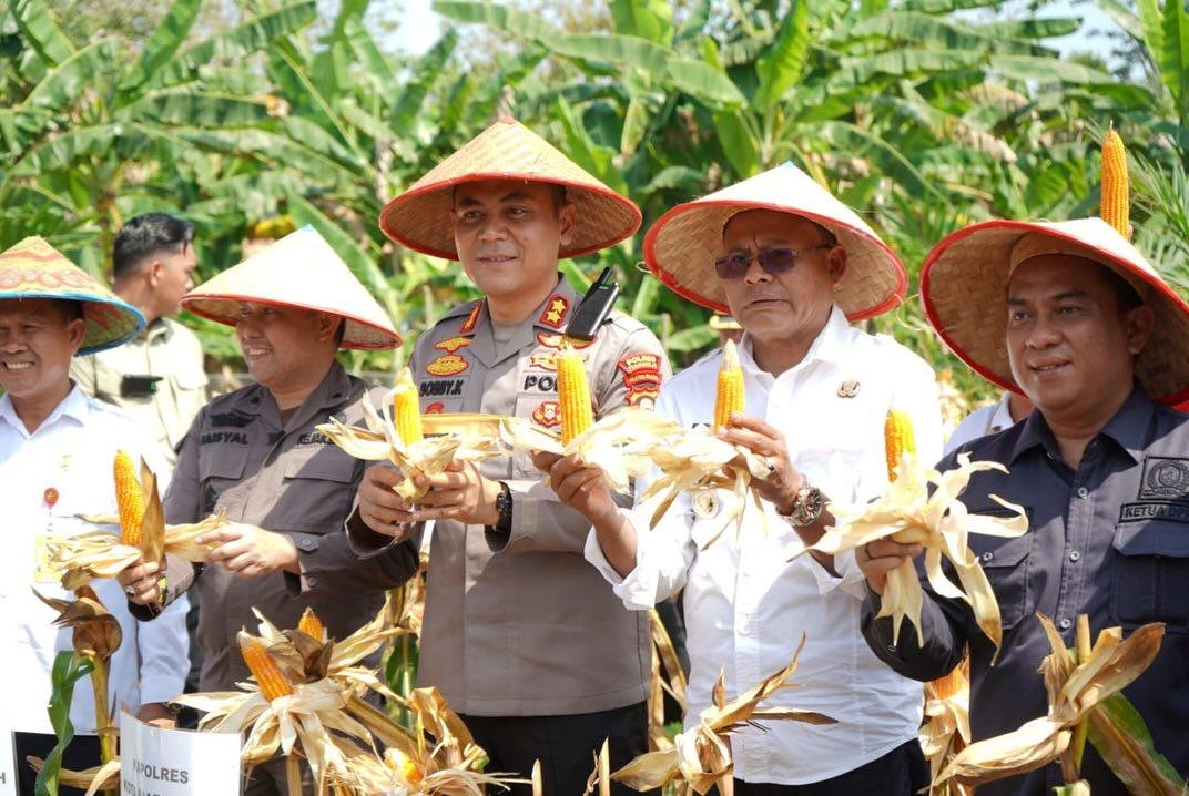 Panen Raya Jagung Serentak di Prabumulih, Bukti Sinergi Pemkot dan Polres Dukung Ketahanan Pangan Nasional