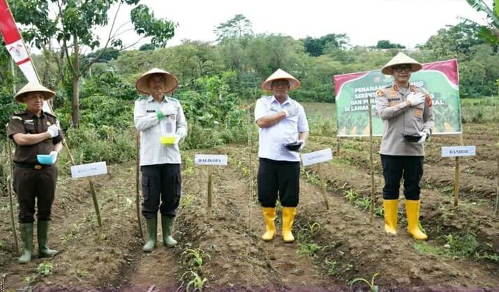 Pemkot Pagar Alam Dukung Penanaman Jagung Serentak Kuartal III, Dorong Ketahanan Pangan