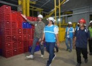 PLN Nyalakan Listrik Industri PT Agro Bumi Sumatera, Dukung Ekspor Pinang Jambi ke Tiongkok