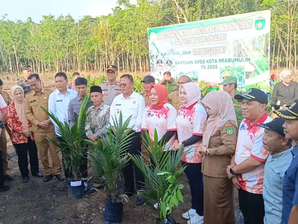 Pemkot Prabumulih Salurkan Ribuan Bibit Sawit dan Karet ke Petani