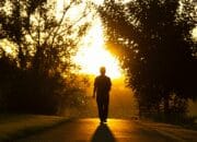 Jalan Kaki 15 Menit Setiap Pagi, Rahasia Kesehatan Mental yang Optimal