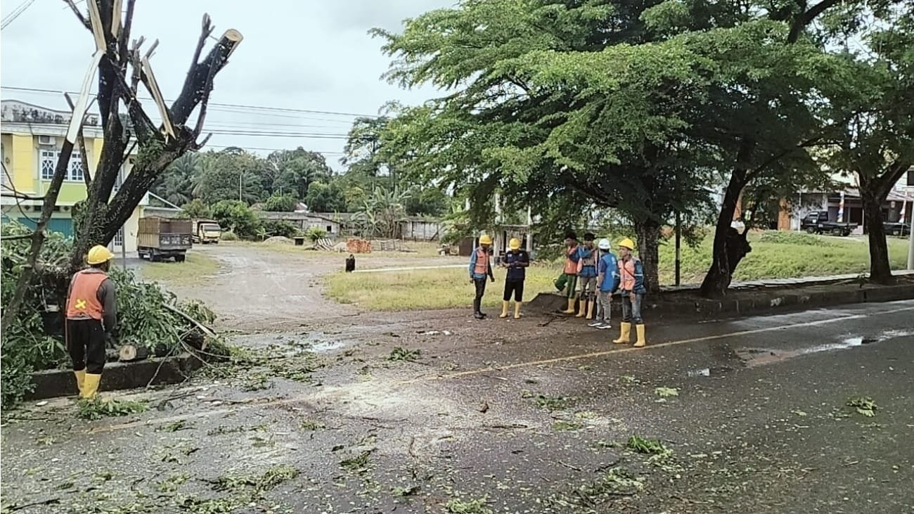 Jelang Hari Kesaktian Pancasila, PLN “Sapu Bersih” Jalur Listrik di Lubuklinggau