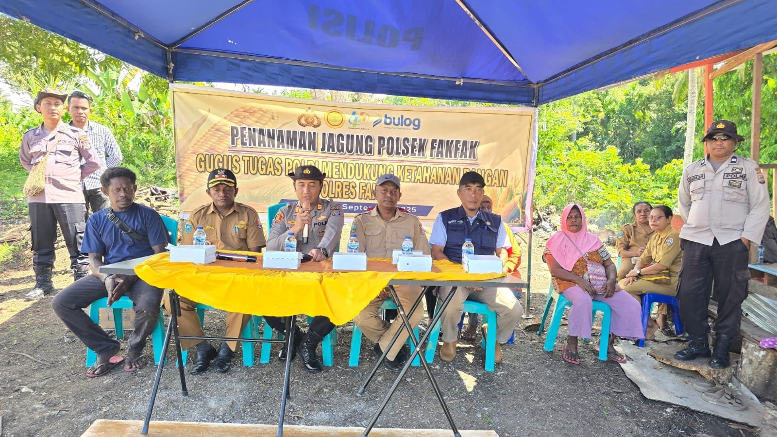 Dukung Ketahanan Pangan Nasional, Polsek Fakfak Tanam Jagung Hibrida