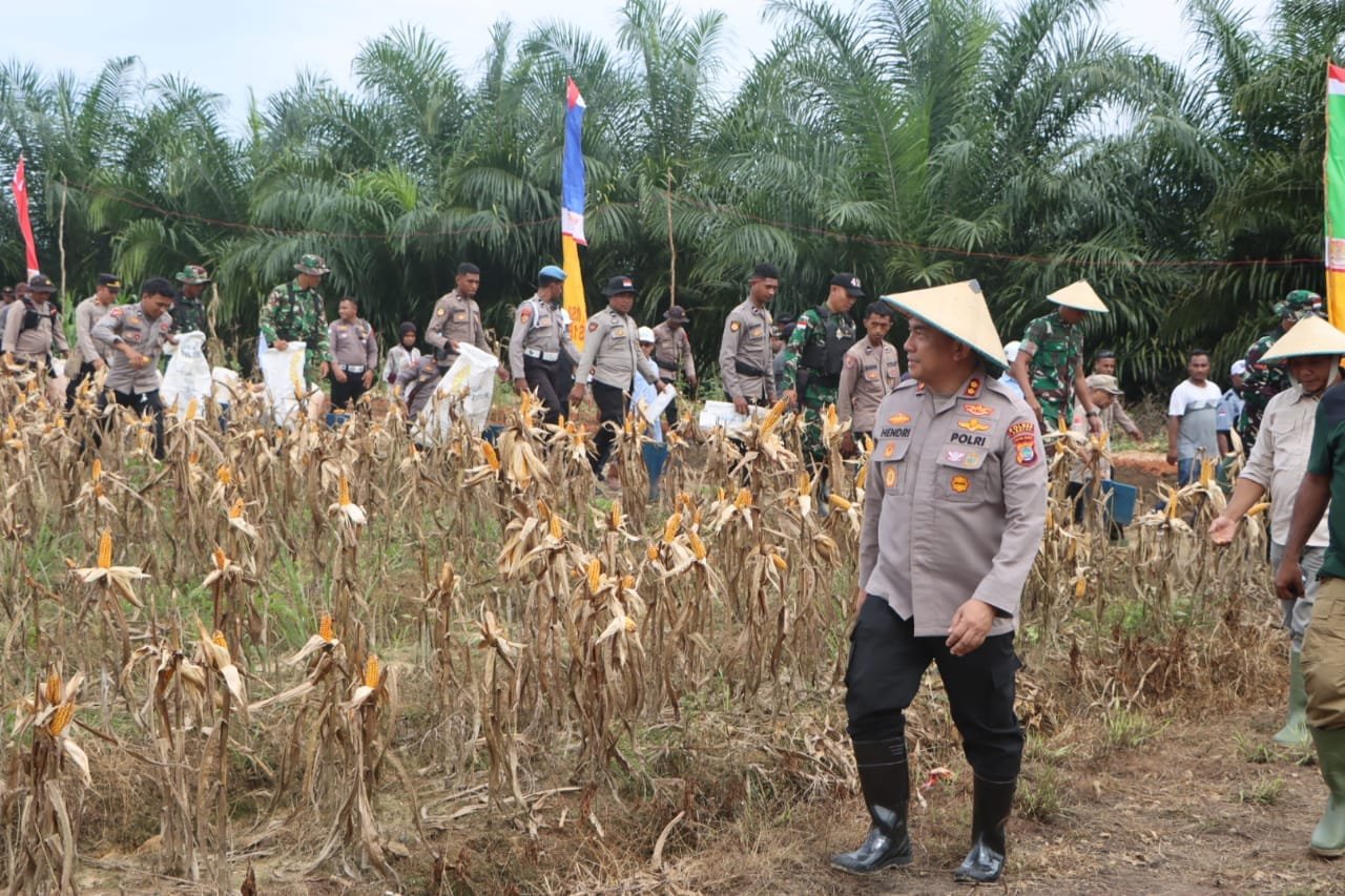 Kapolres AKBP Hendriyana Pimpin Panen Raya Jagung Serentak Dukung Swasembada Pangan