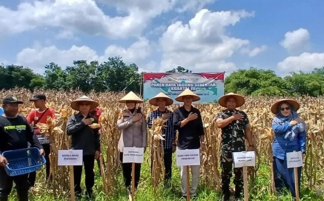Pemkot Prabumulih Dukung Panen Raya Jagung Serentak Tahap III