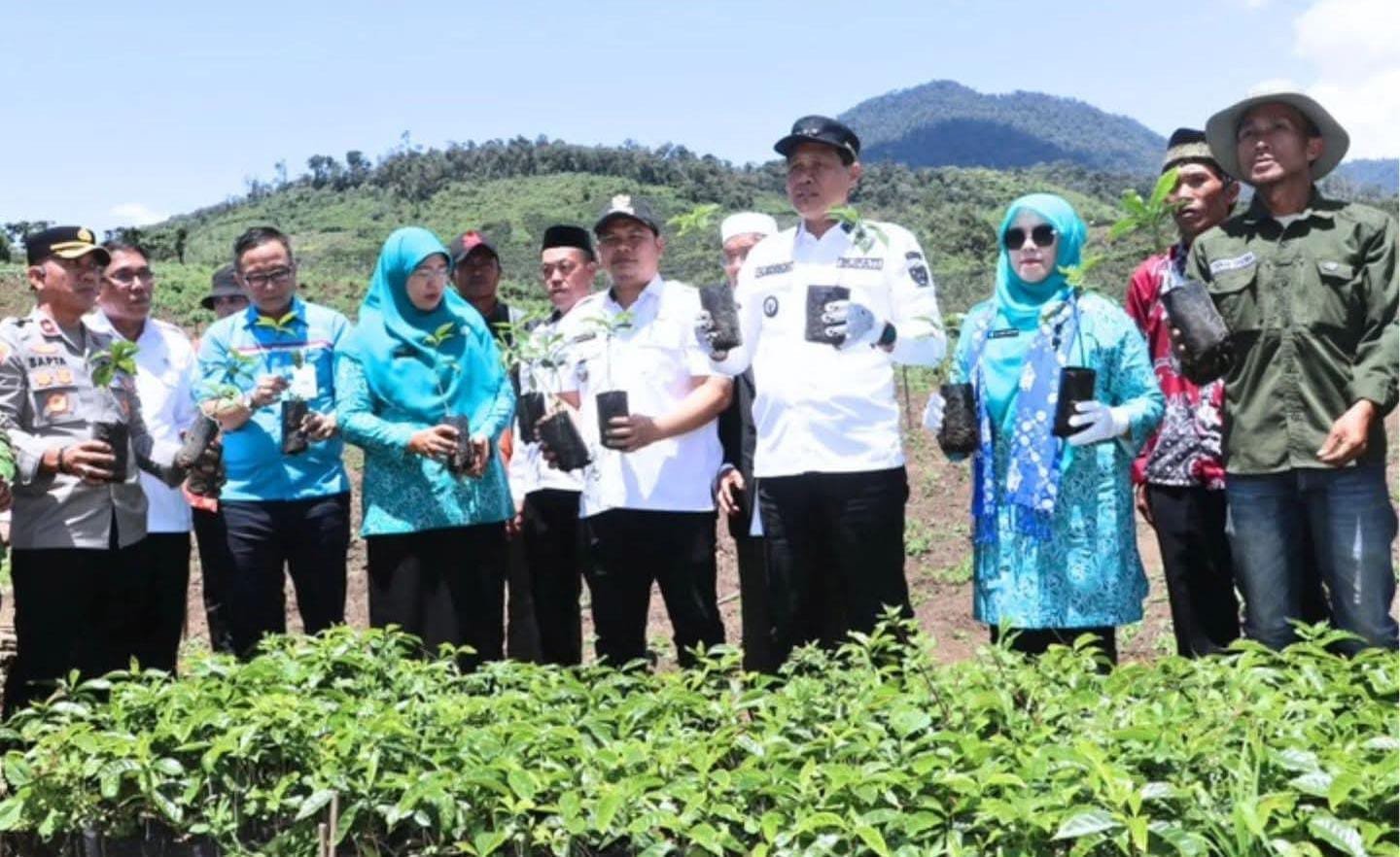 Panen Raya di Desa Segamit, Bupati Edison Tancap Gas Wujudkan Sentra Bibit Kentang