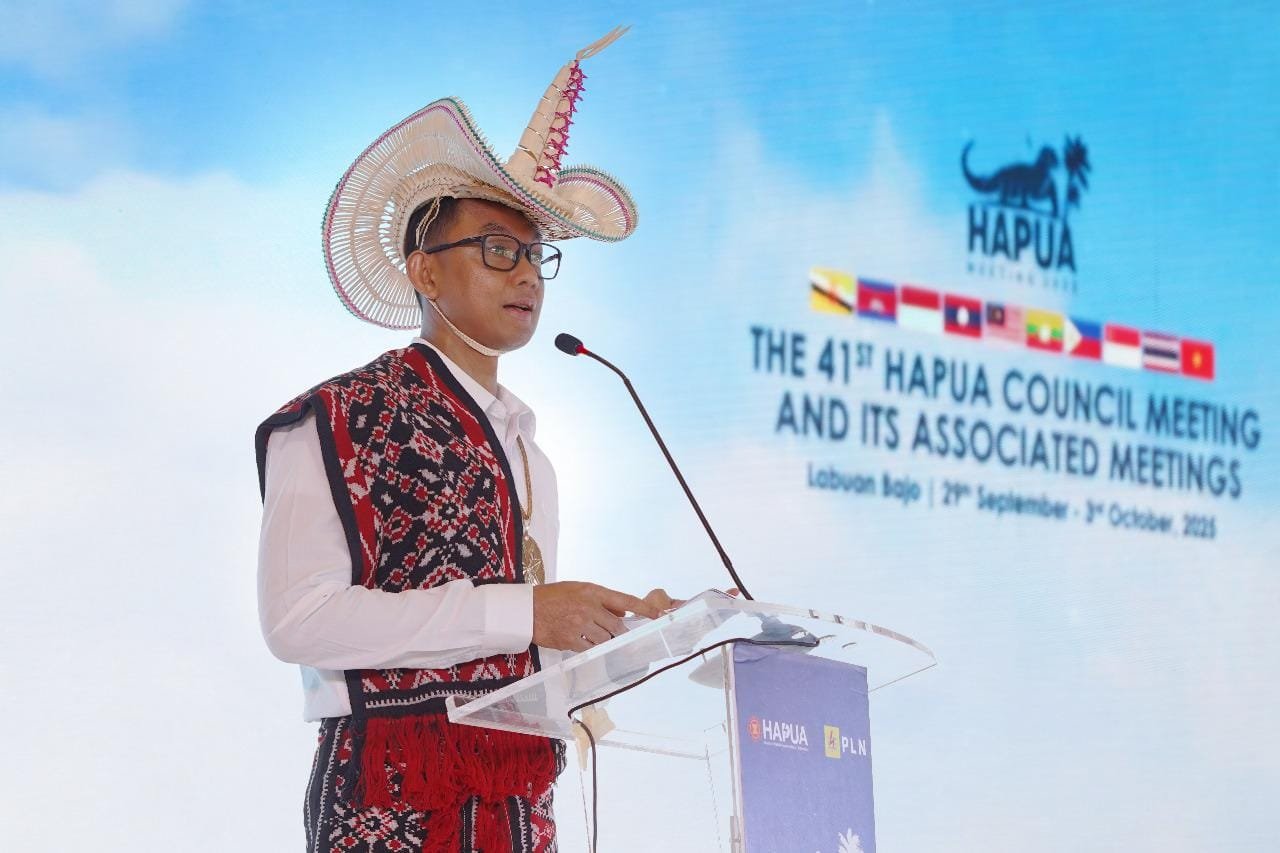 PLN Dorong Integrasi ASEAN Power Grid, Perkuat Ketahanan Energi dan Akselerasi NZE