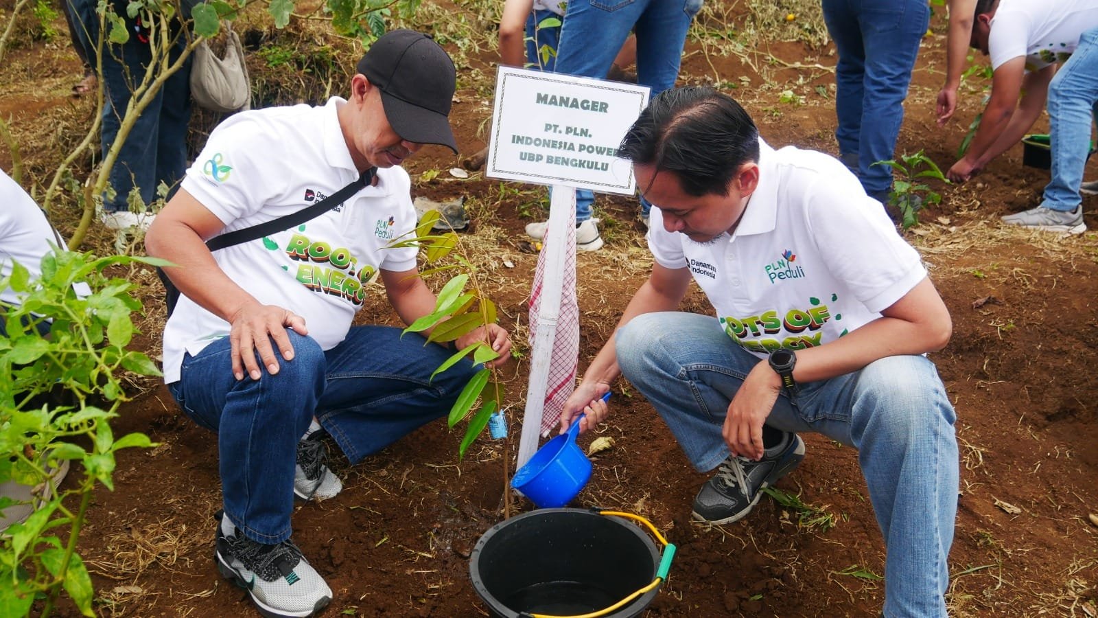 “Roots of Energy” PLN Hijaukan Rejang Lebong