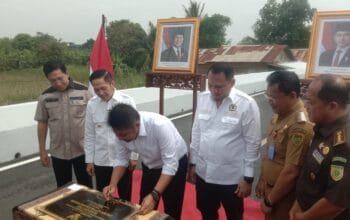 Jembatan Layang Lettu Karim di Gandus Resmi Beroperasi