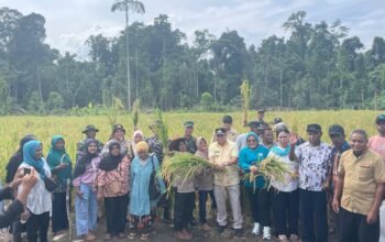 Gerak Cepat Bupati Fakfak, Gandeng TNI-Polri dan Pemuda Siapkan Logistik Pangan Proyek Strategis