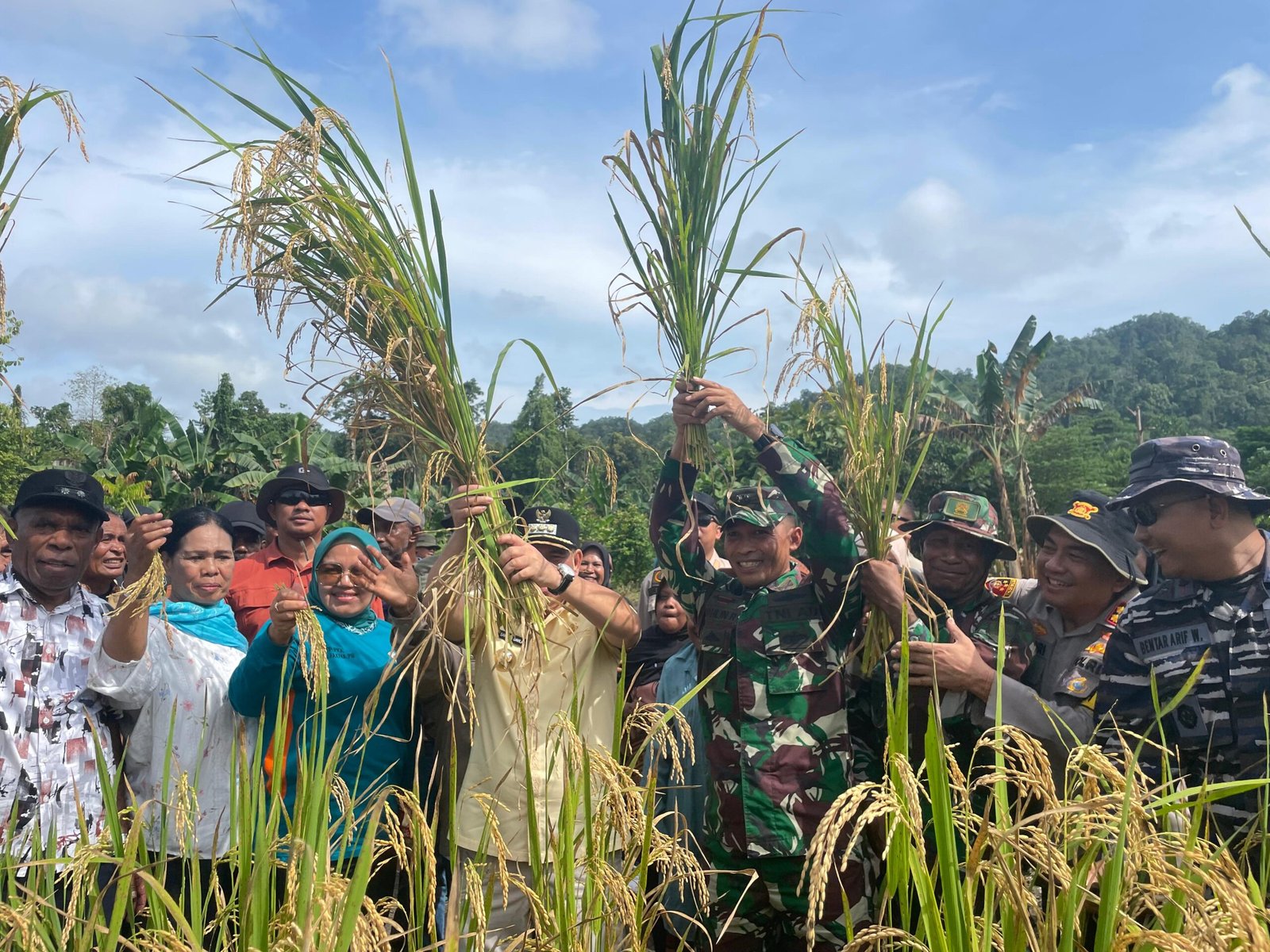 Bukti Nyata Sinergi TNI dan Pemda, Dandim 1803/Fakfak Hadiri Panen Padi di Kampung Kinam Distrik Kokas