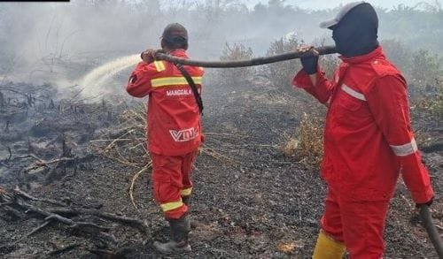 “Hijau Aman, Cara Buka Lahan Tanpa Bakar di 2026”