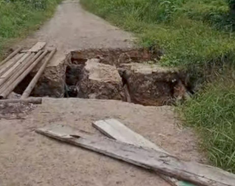 Gorong-gorong Jebol, Akses Dua Desa di Penukal Abab Lematang Ilir Terputus, Petani Karet Terdampak