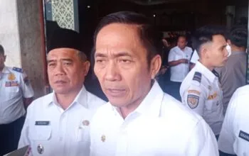 Ratu Dewa Targetkan Penertiban Reklame Ilegal dalam Sepekan