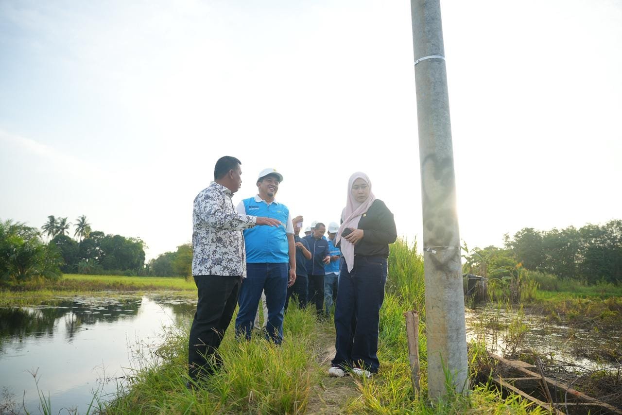 PLN Tuntaskan Listrik Desa Pedamaran IV OKI