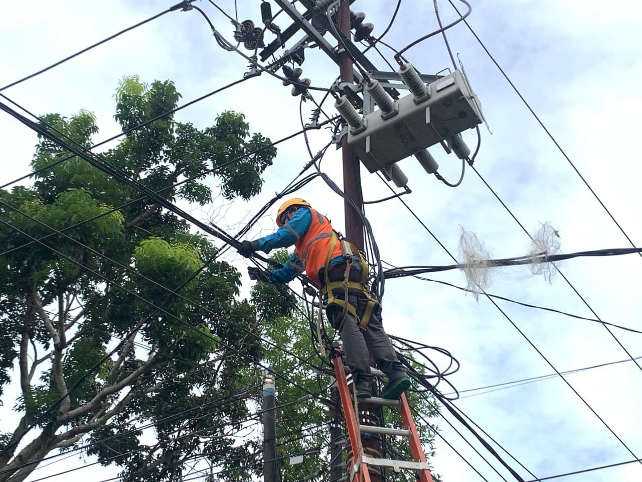 Upaya Preventif PLN, Perawatan Jaringan Listrik Dilakukan Berkala