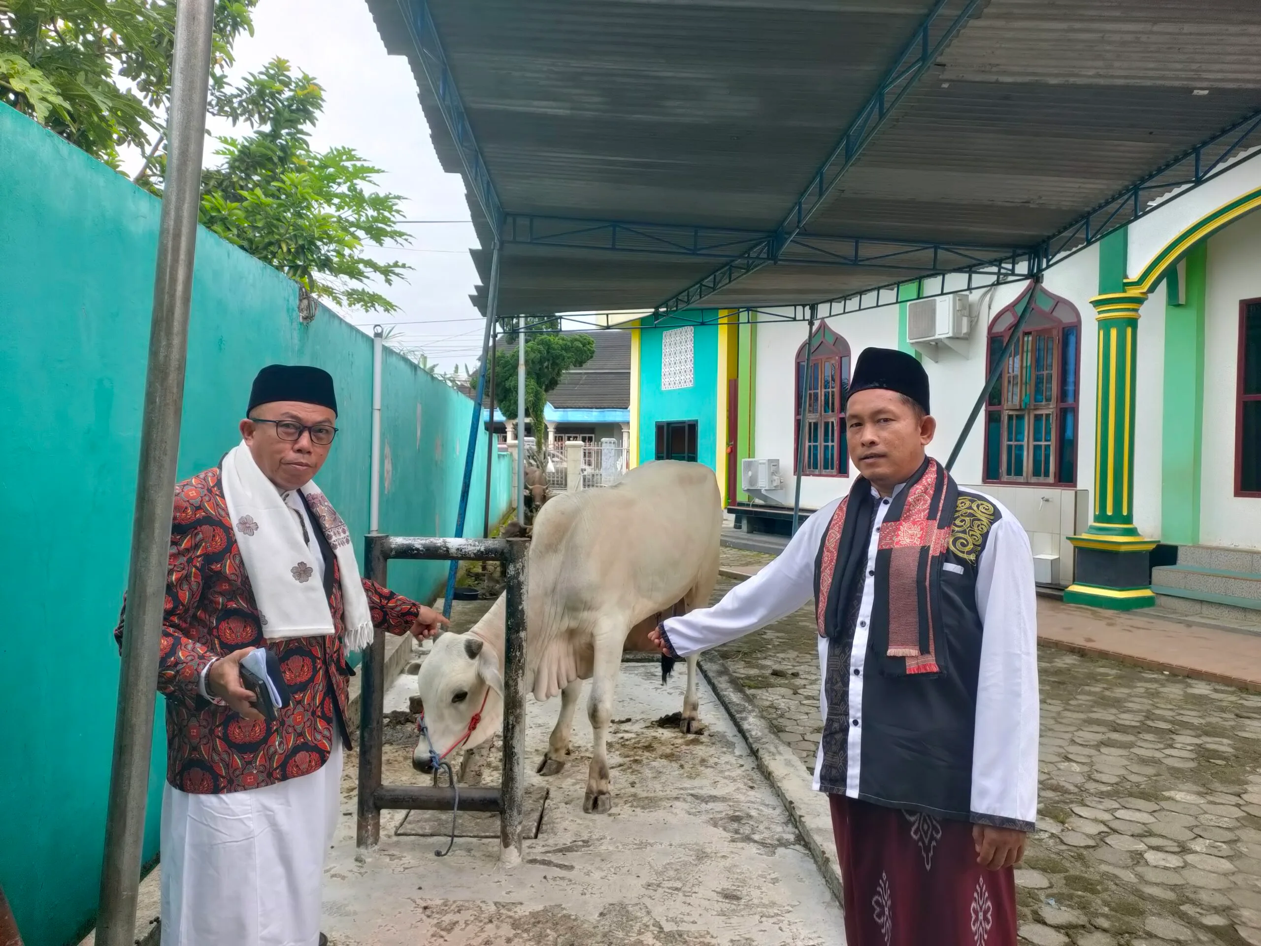 Wali Kota Lubuklinggau, H Rachmat Hidayat Berikan Seekor Sapi Kurban untuk Masjid Anniyaturrohimin 