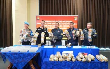 Polda Sumsel Ungkap Ladang Ganja 20 Hektar di Empat Lawang, Satu Tersangka Diamankan