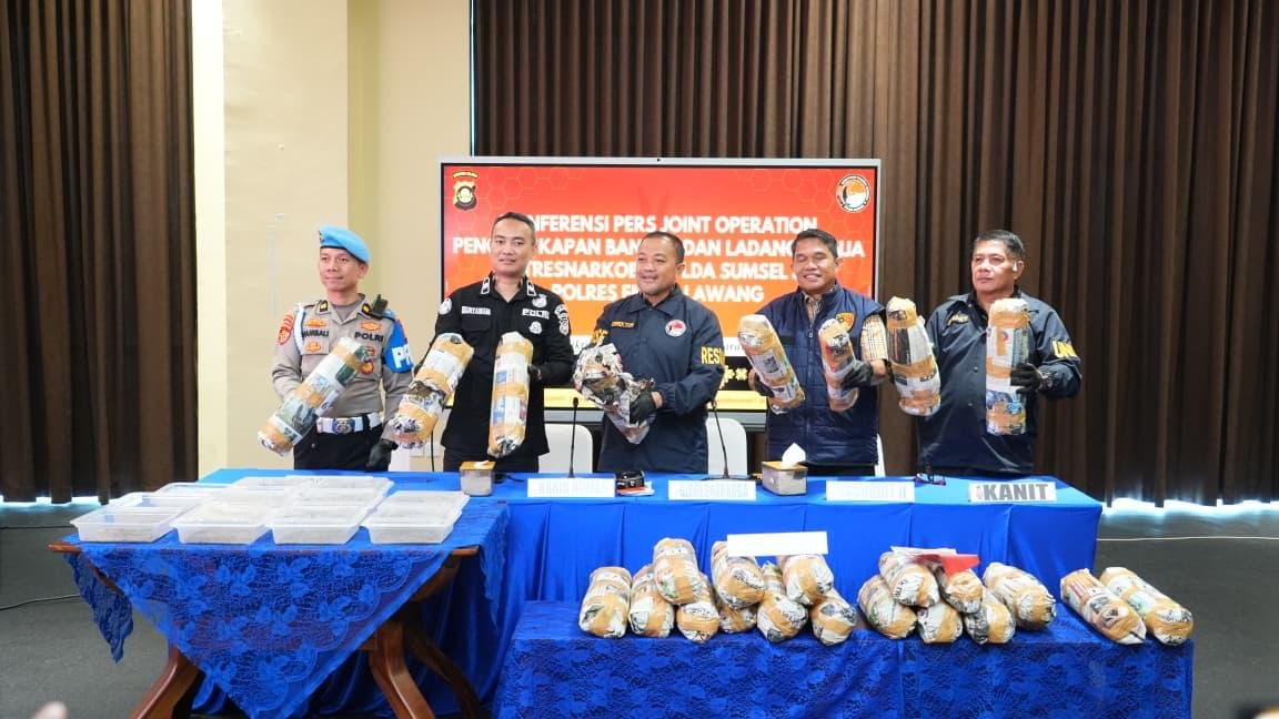 Polda Sumsel Ungkap Ladang Ganja 20 Hektar di Empat Lawang, Satu Tersangka Diamankan