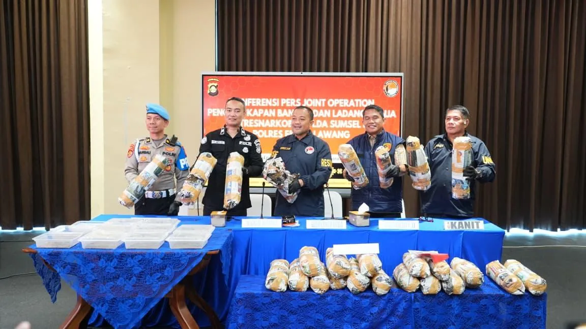 Polda Sumsel Ungkap Ladang Ganja 20 Hektar di Empat Lawang, Satu Tersangka Diamankan