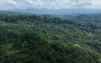 Pemerintah Perketat Pengawasan Hutan Lewat Aturan Baru