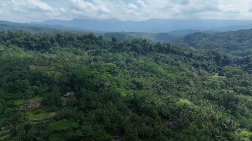 Pemerintah Perketat Pengawasan Hutan Lewat Aturan Baru